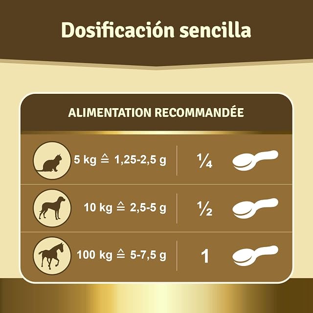 Foto 4 de 8 de Veddelholzer - Polvo de mejillón Verde Natural para Perros, 500 g, extracto de Labio Verde con Alta…