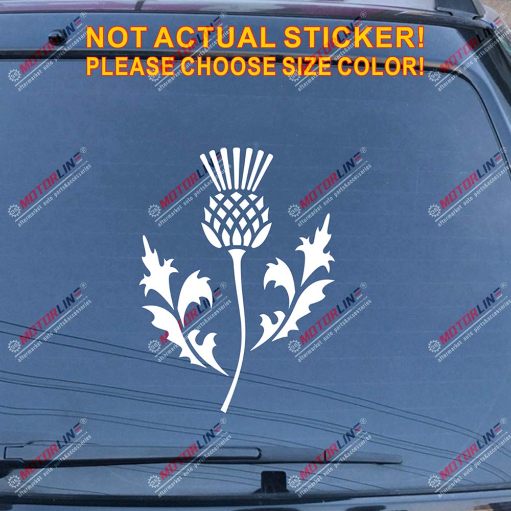 Thistle Scottish Flower Decal Sticker Scotland Car Vinyl Pick Size Color c (White, 5''(12.7cm))