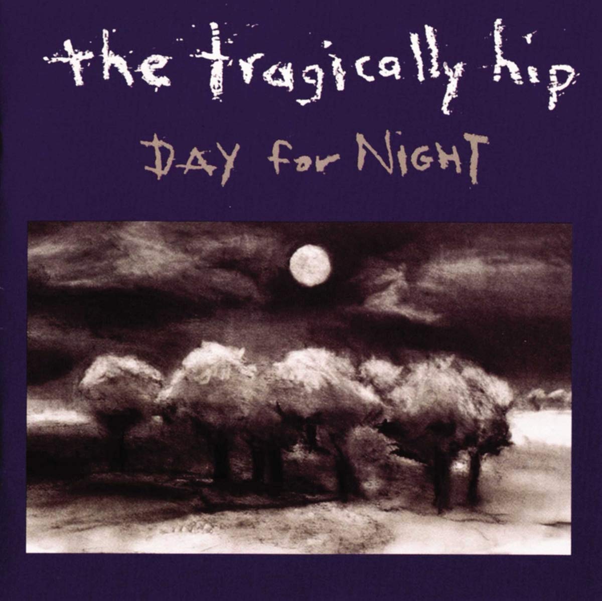 Day for Night [VINYL]
