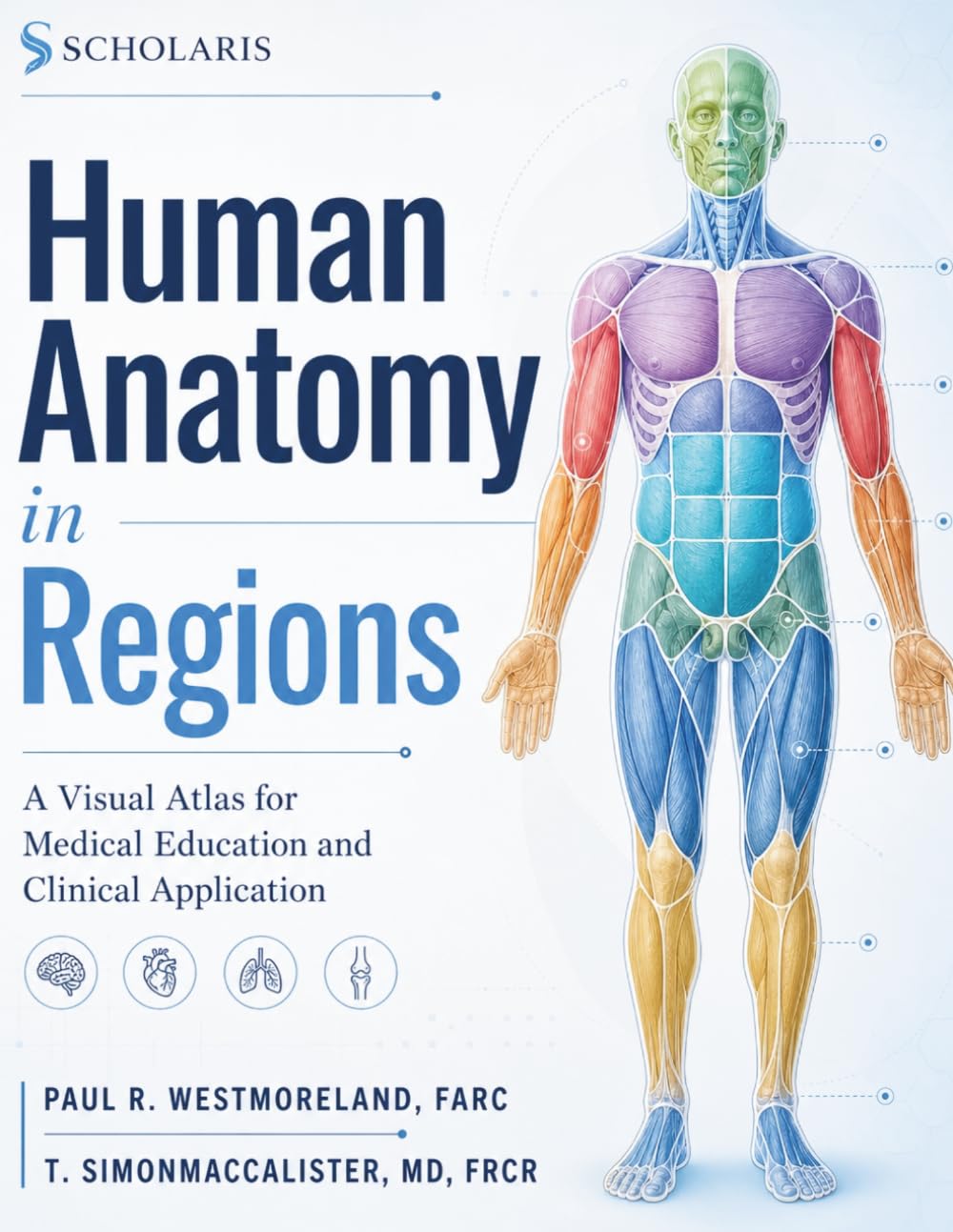 Human Anatomy in Regions: A Visual Atlas for Medical Education and Clinical Application