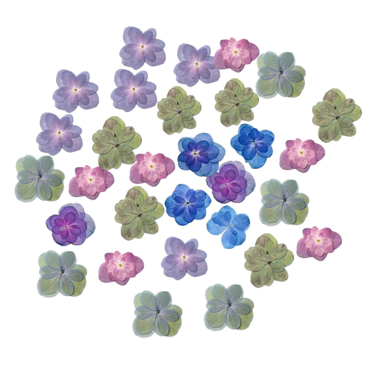 MAGICLULU 2 Ensembles Fleurs Séchées pour La Résine Mariage Décor Bouquet De Fleurs Séchées Pressé Sec Petites Fleurs pour La Résine 30 Pièces * 2