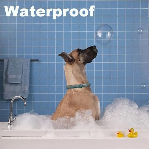 Natural & Safe Flea And Tick Collar For Large Dogs, 2 * 8 Months Protection, Waterproof, 27.5 Inch, One Size Fits All, Free Comb And Tick Removal Tool, Charity! (2 Pack) #TOP5