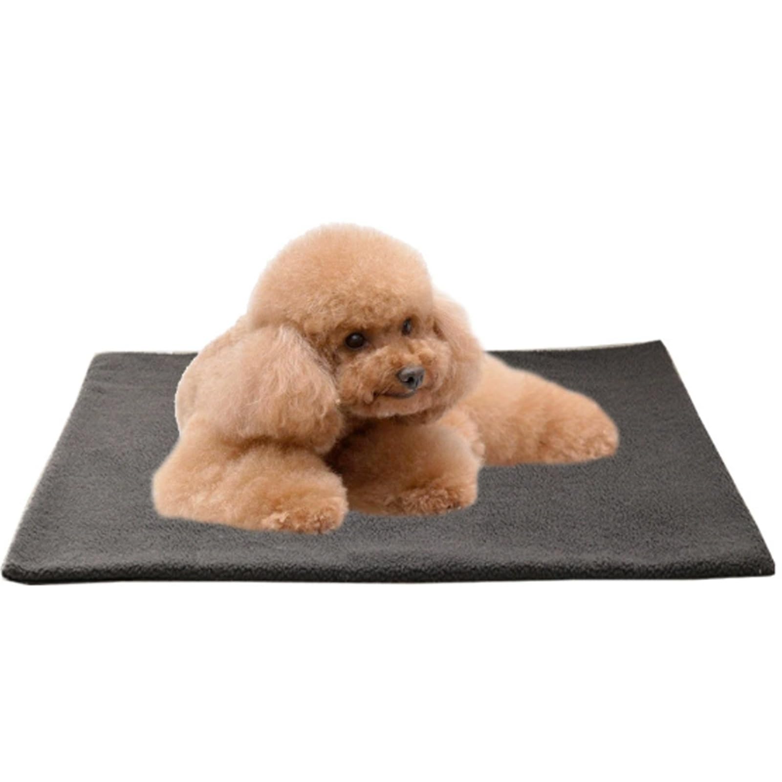 2 Stück, Selbstheizende Katzenmatte, Selbstheizende Haustiermatte, Leicht zu Reinigen, Weich und Bequem, Geeignet für Die Meisten Hunde und Katzen(X-Large)