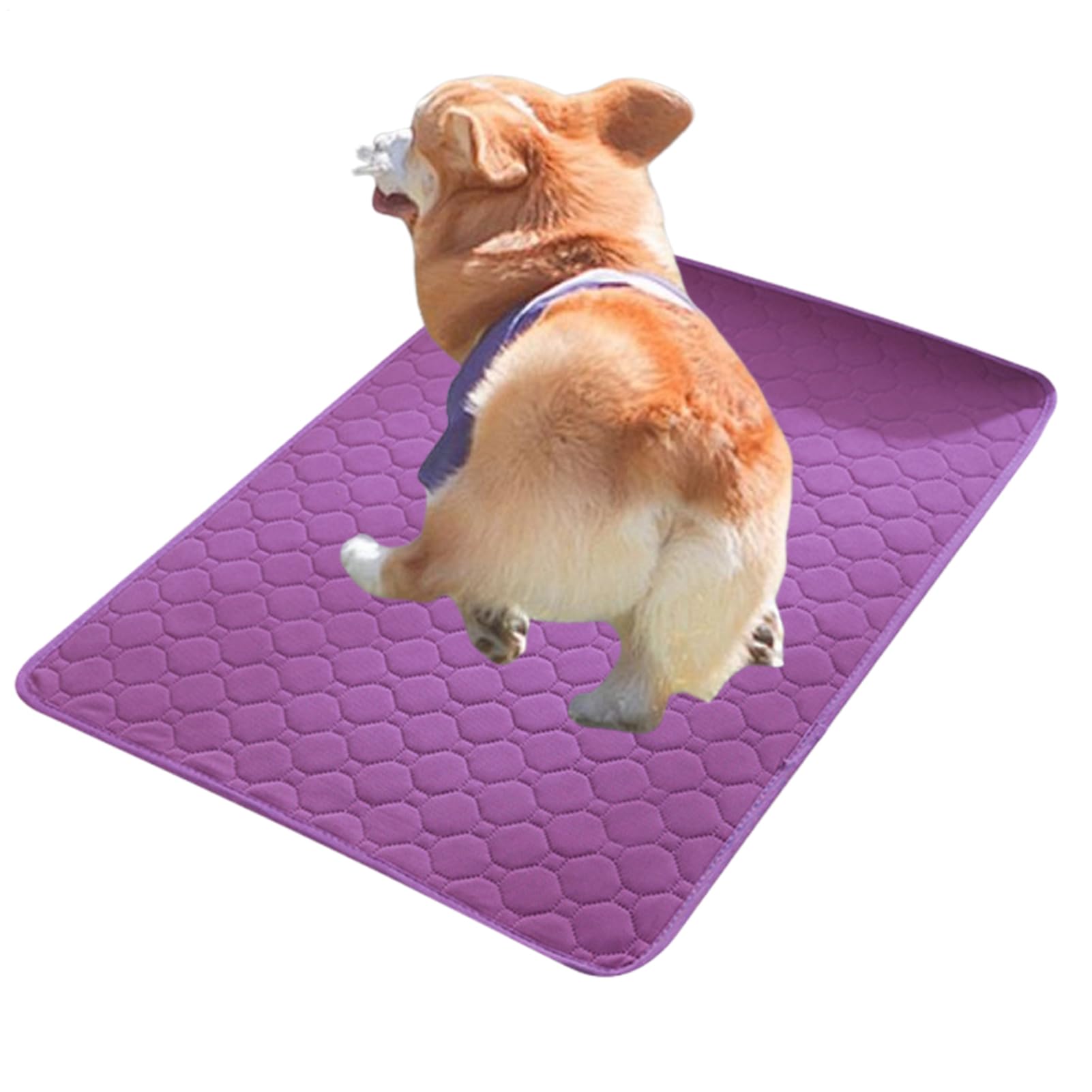 Pee Pads for Dogs Reusable Puppy Pads Pet Training Pads