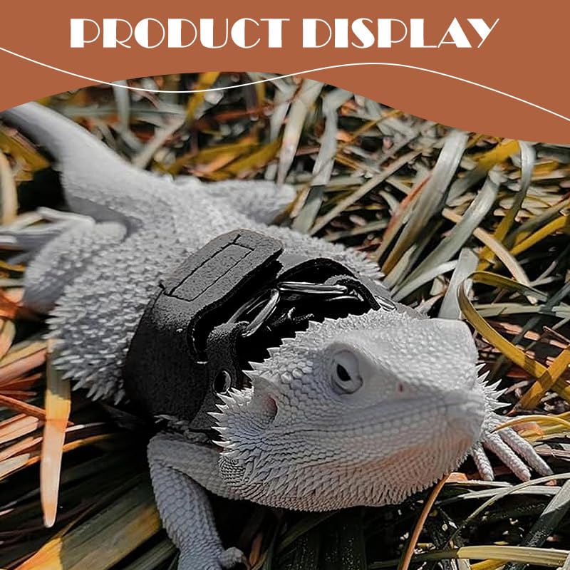 Image of Bearded Dragon Leash - 3 Sizes Pack Reptile Outing Adjustable Soft Leather Lizard Harness with Retractable Leash Small Animal Traction Rope Walking Vest Accessories for Bearded Dragon Leash(Black)