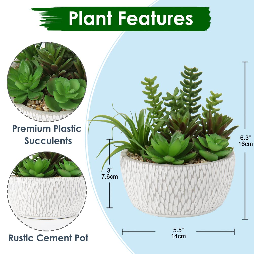 Pequeñas plantas falsas surtidas suculentas falsas en macetas, plantas suculentas realistas artificiales con macetas de cemento para el hogar, mesa, oficina, escritorio, baño, estante y 2