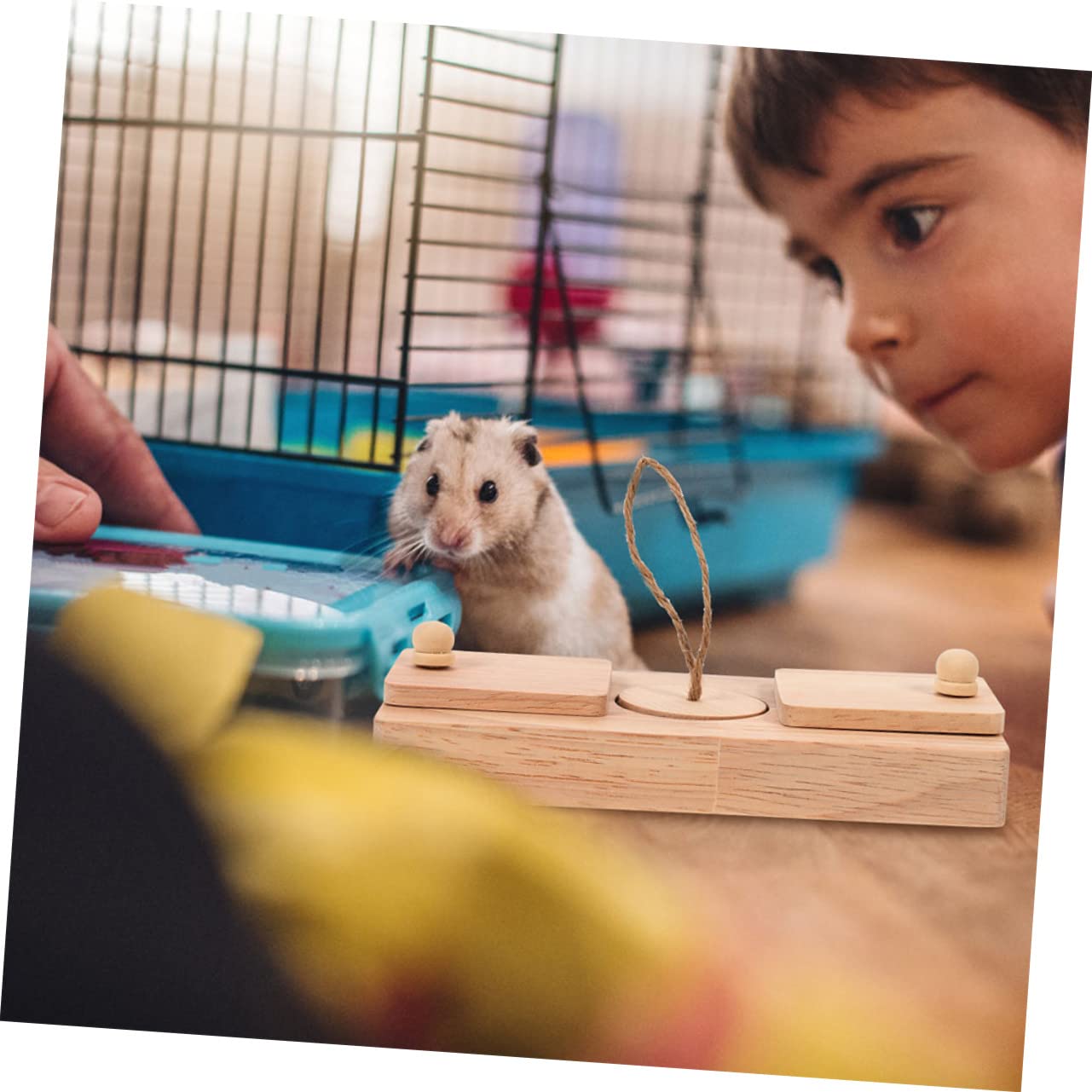 Happyyami 2stücke Hamster Spielzeug Interaktive Futterversteck Spiele Für Kleine Haustiere Käfig Zubehör Und Entspannung Für Zwerghamster Und Rennmäuse