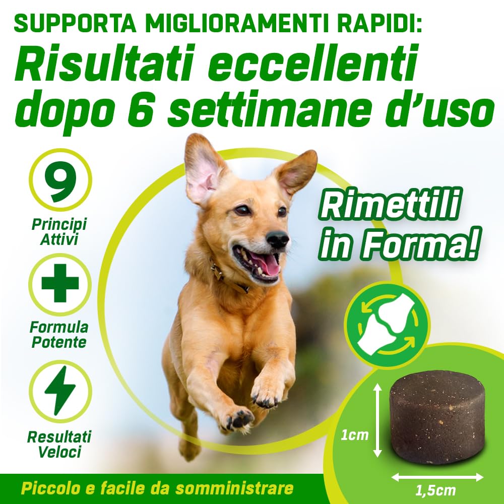 Hip + Joint Cani Articolazioni | 150 x Masticabili | con Cozza Verde, Glucosamina, Condroitina, Olio Canapa, MSM, Acido Ialuronico, Manganese | Integratore Articolazioni Cane Gusto Pollo