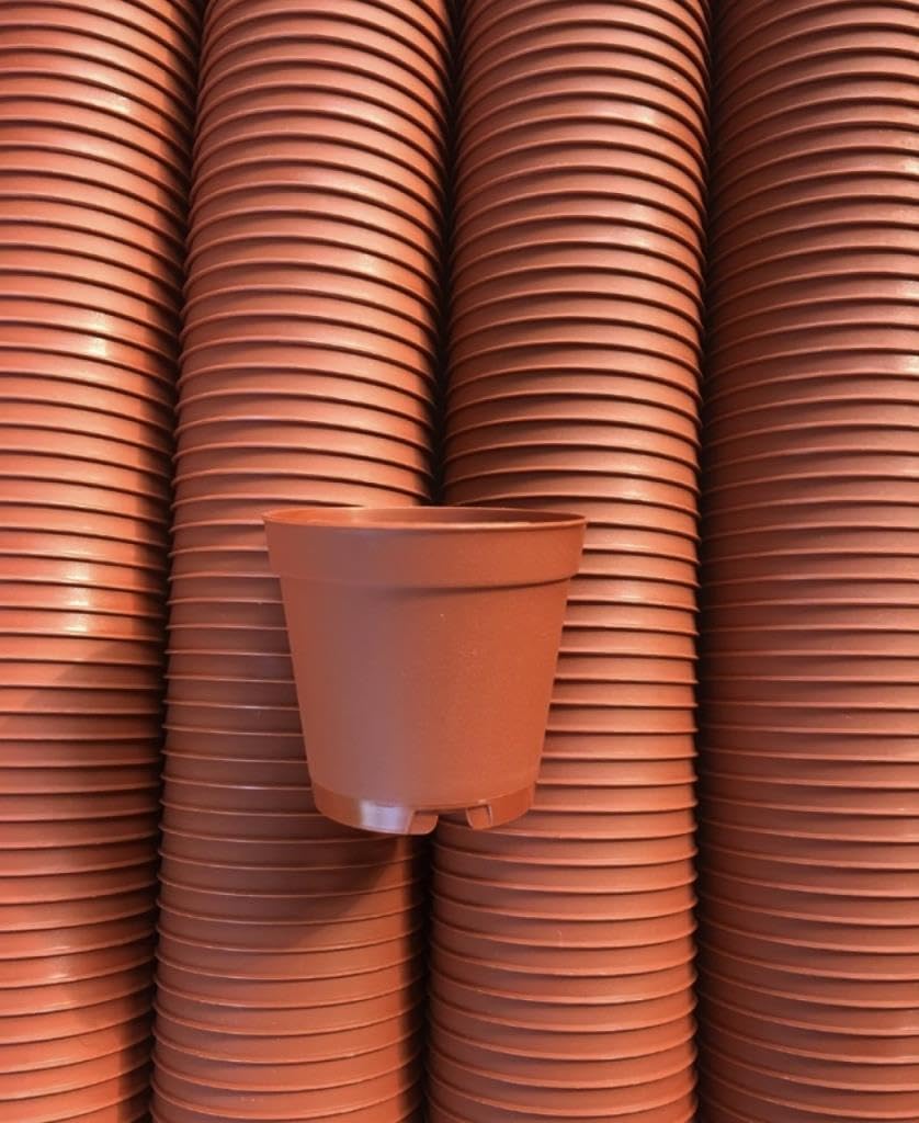 serazat 50 Pack Mini Brown Plastic Plant Pots – 2.16 x 1.97 Inch Nursery Pots for Small Plants, Succulents, Flowers – Ideal for Home & Office Decor image 2