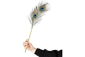 Tickle Stick: A Feline's Dream for Relaxation and Joy