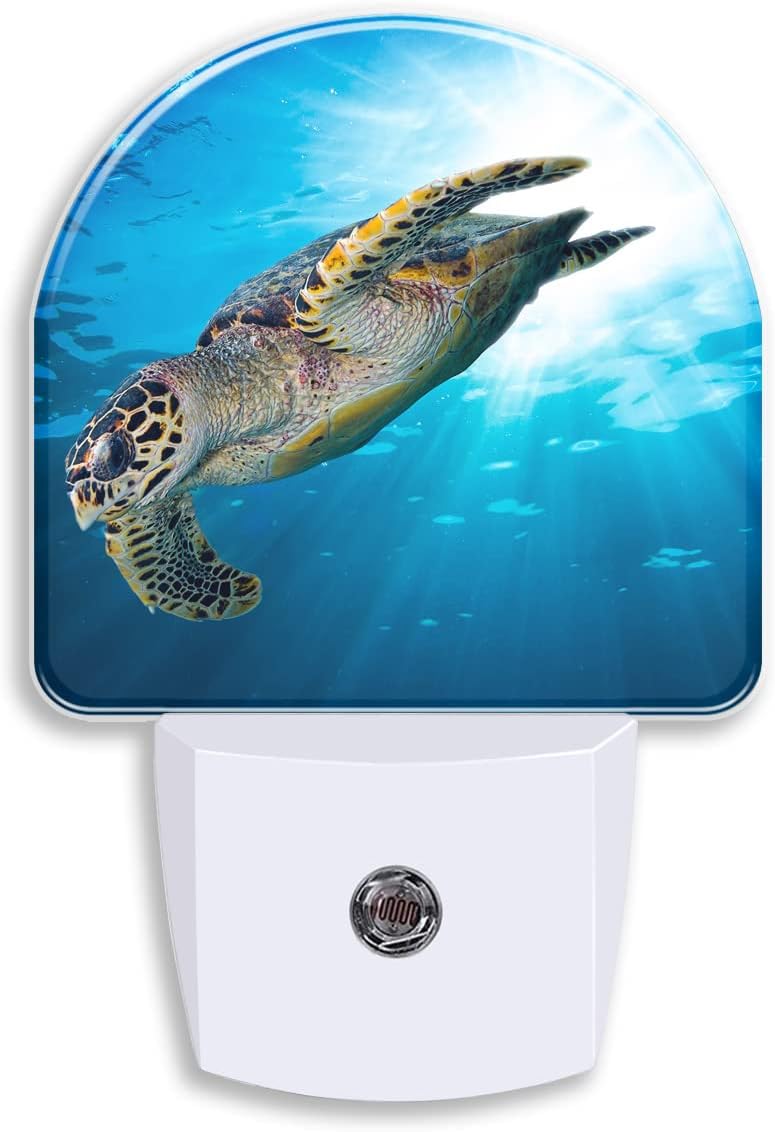 AKKAVNIA Ocean Against The Sunlight Nightlight Hawksbill Sea Turtle