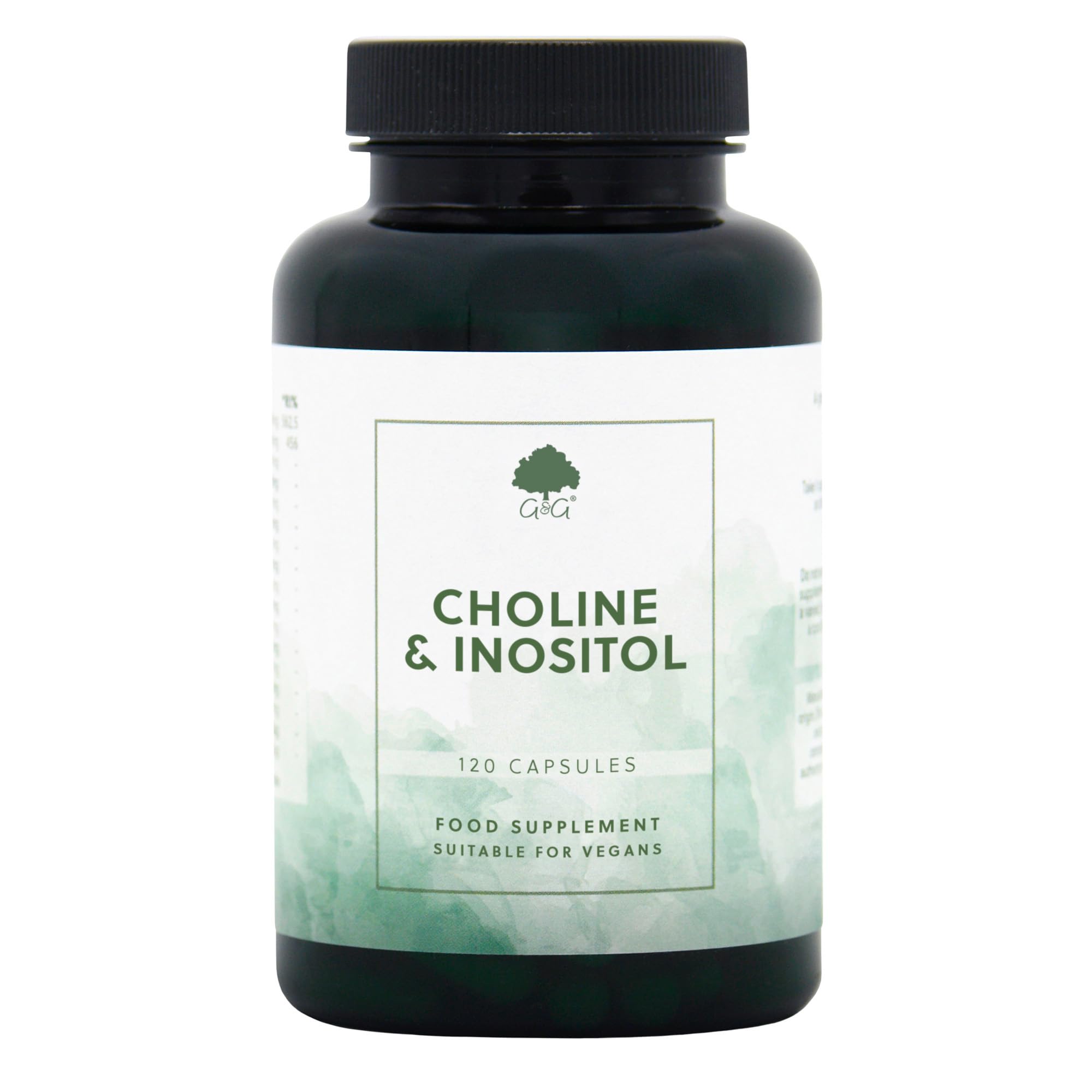 G&G Vitamins Choline 250Mg & Inositol 250Mg, 120 Capsules,