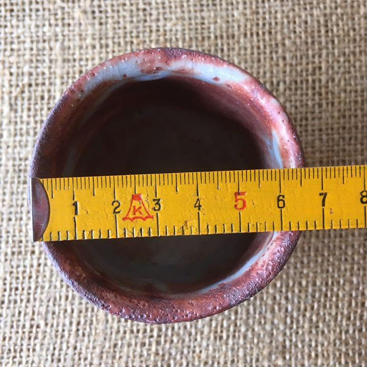 Amazon.co.jp: 美濃焼 赤志乃 ぐい飲み 箱付き 椿 : 文房具