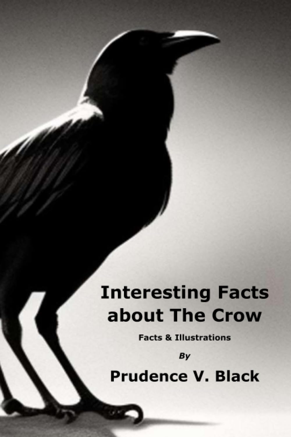 Interesting Facts about The Crow: Facts & Illustrations