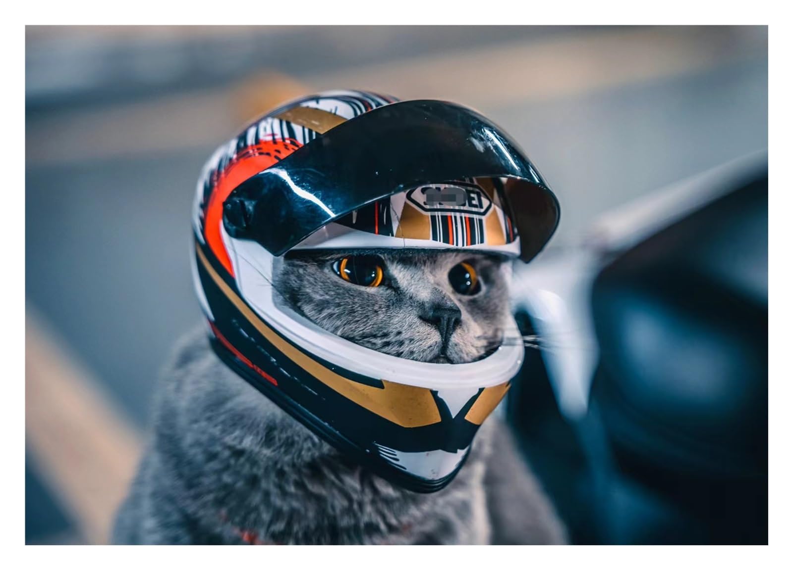 best mips helmet bike The Best Road Bike Helmets of 2026
