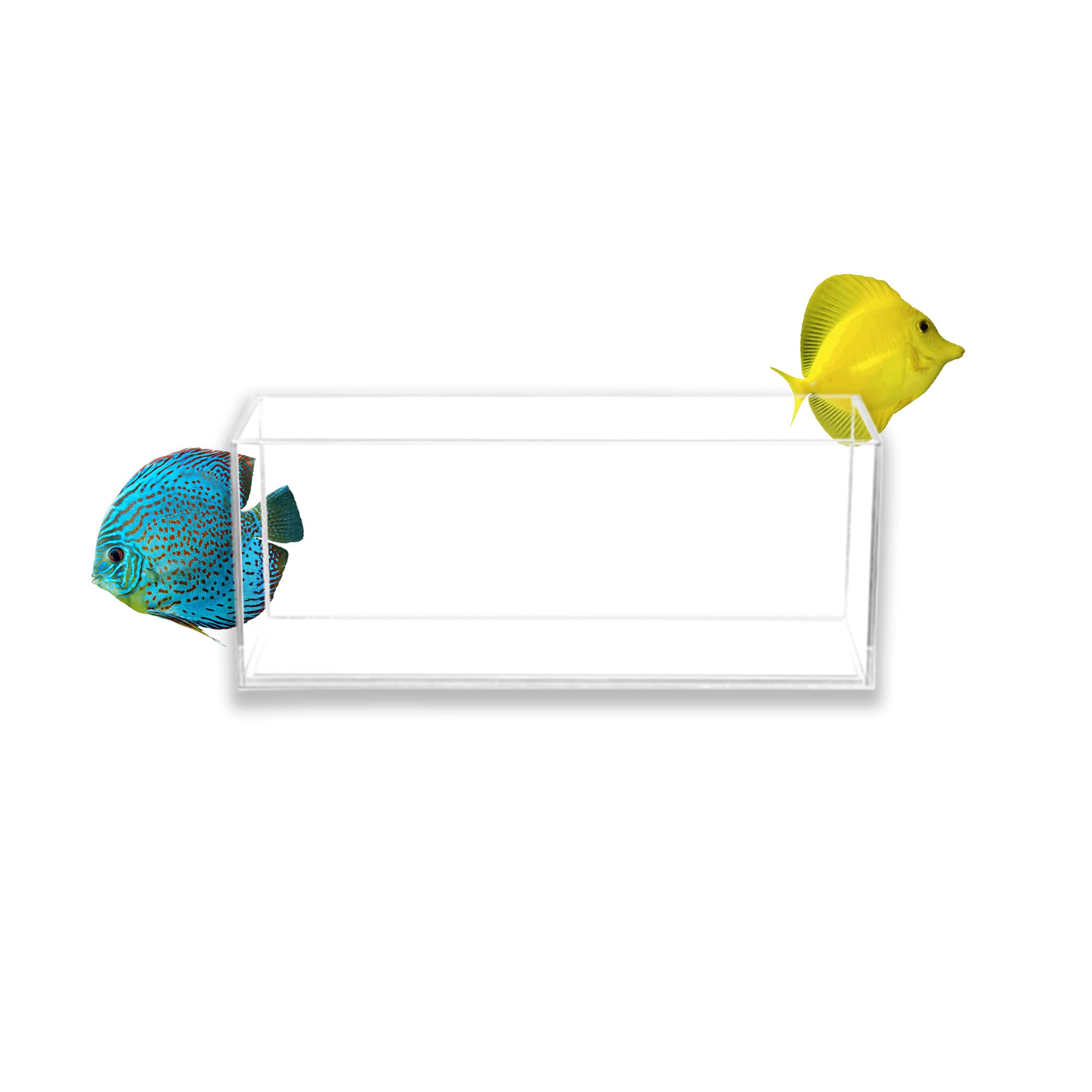 Amazon.com : Aquatop High Clarity Glass Aquarium - Ideal for