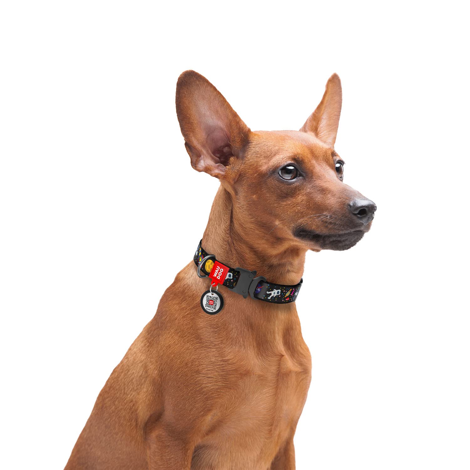 WAUDOG Adjustable Dog Collars - NASA Printed Collars for Dogs & Puppies - Soft Durable & Strong Dog Collars - Nylon Dog Collars for Pets - Multicolor (31-49 cm) (B09MKQTHBX) Amazon Price History, Amazon Price Tracker