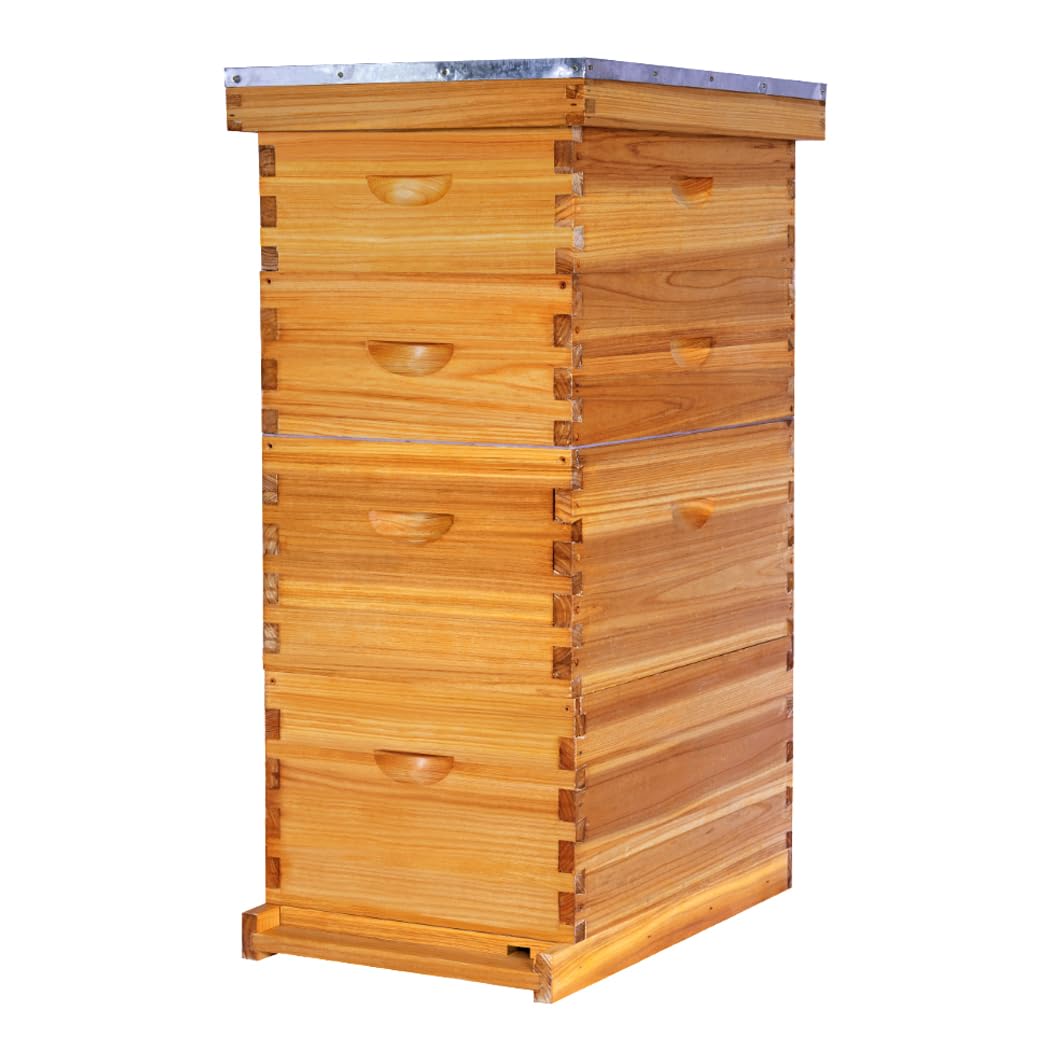POLLIBEE 8-Frame 4-Box Kit