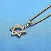 LineAve Stainless Steel Jewish Star of David Pendant Necklace, Unisex, 8h0047