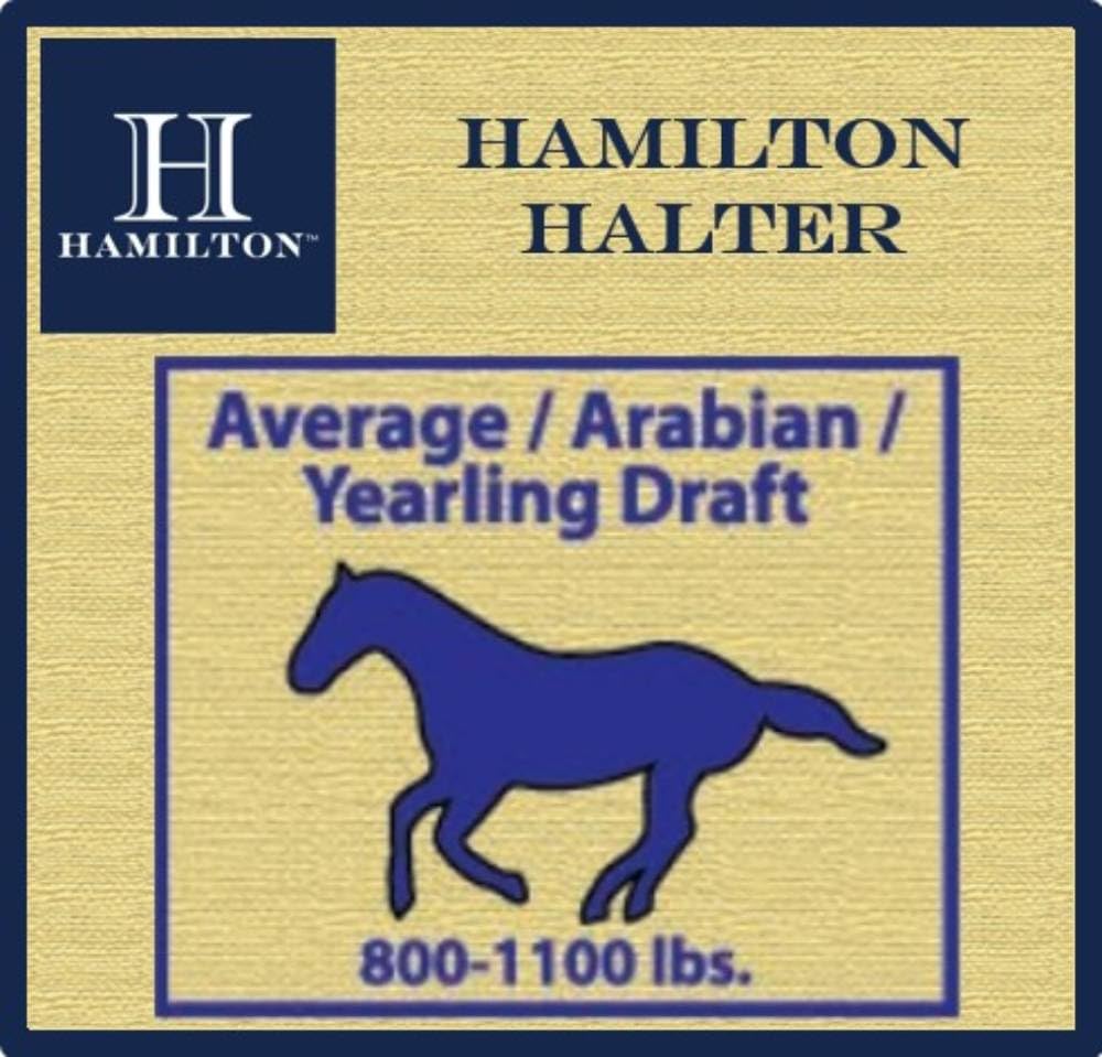 Hamilton Nylon-Halfter mit verstellbarem Kinn, 2,5 cm, Average, 800-1100 Pounds, Marineblau