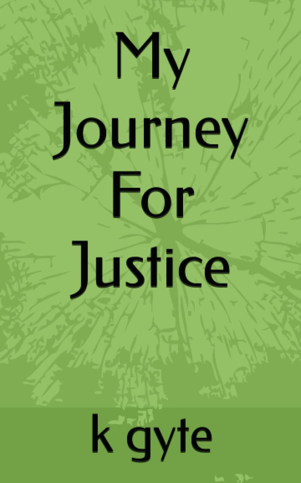My Journey For Justice