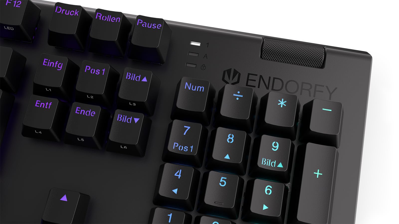 ENDORFY Omnis DE Kailh Red, switch meccanici Kailh Red, poggiapolsi magnetico, tastiera meccanica full size, layout Tedesco QWERTZ, EY5D027