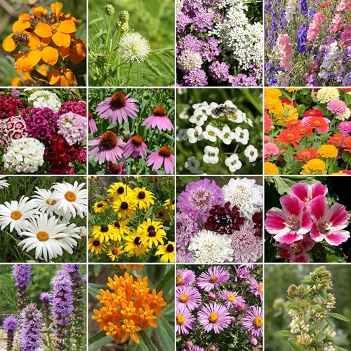 Image of Ferry-Morse Butterfly Bulk Wildflower Seeds, 210,000+, 1 lb