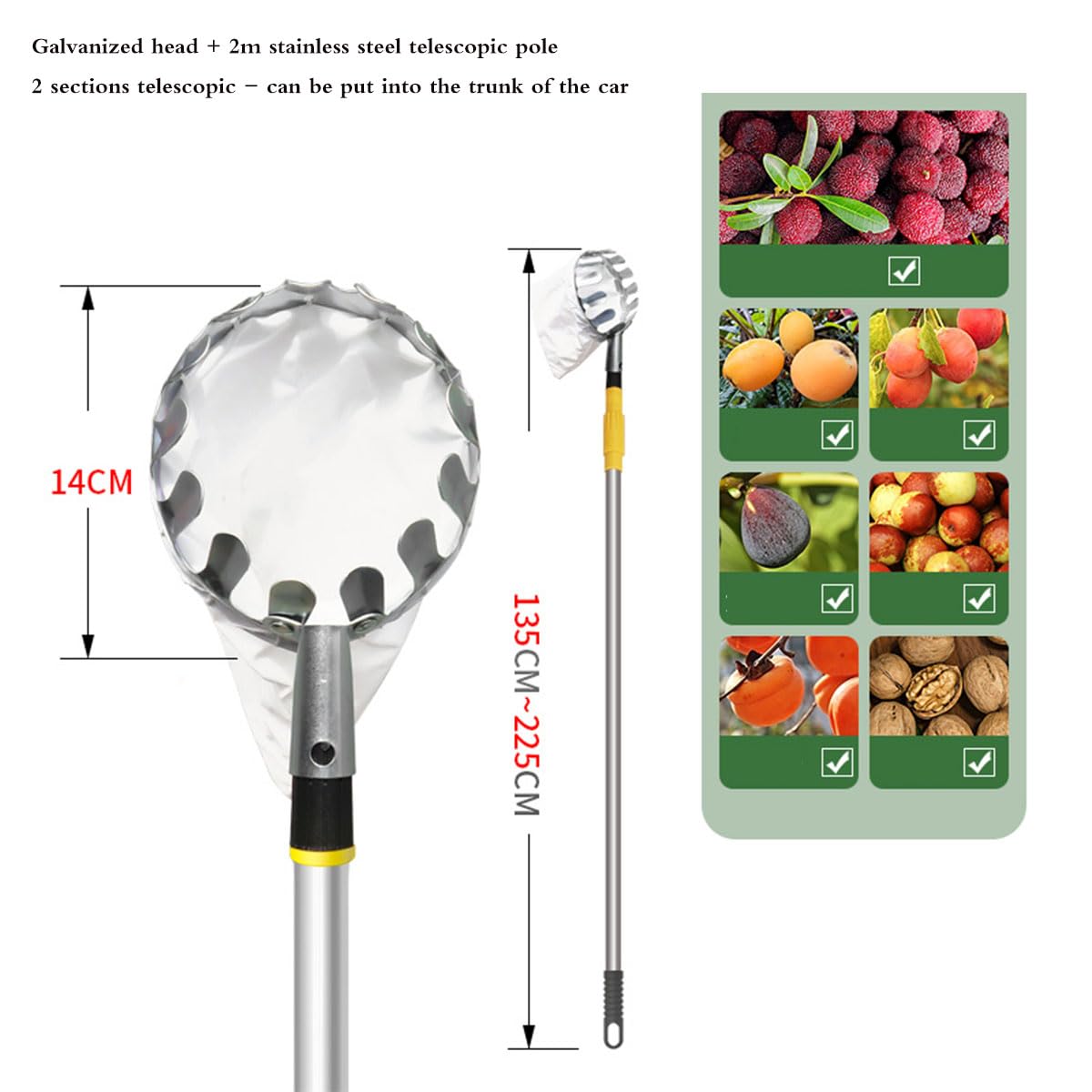 LekLai Raccoglitrice Di Frutta, Strumento Raccoglitrice Di Frutta, Raccoglitrice Di Frutta con Asta Telescopica in Alluminio Leggero e Cestino, Raccoglitrice Di Frutta Facile da Montare,1/3