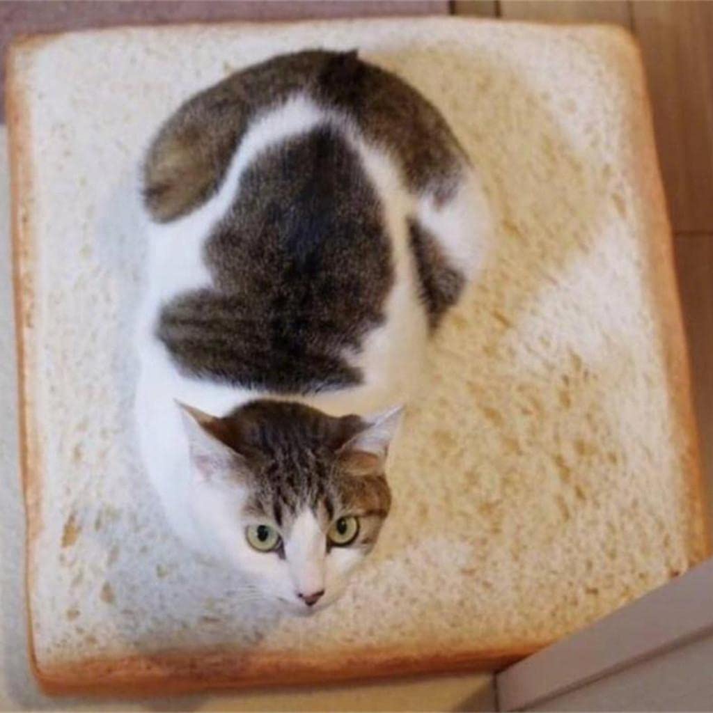 Creative Toast Bread Cushion Covers Pillowcase for Cats and Small Dogs Pets Mat Sleep Soft Mattress Pad Pillow Case Kittens Vivid Bed Cover-image-17