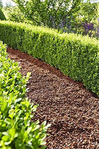 Floragard Mulch Pinienrinde 7-15 mm 60 L • fein • dekorativer Bodenbelag • unterdrückt Unkrautwuchs • naturbelassen • für mediterranes Flair