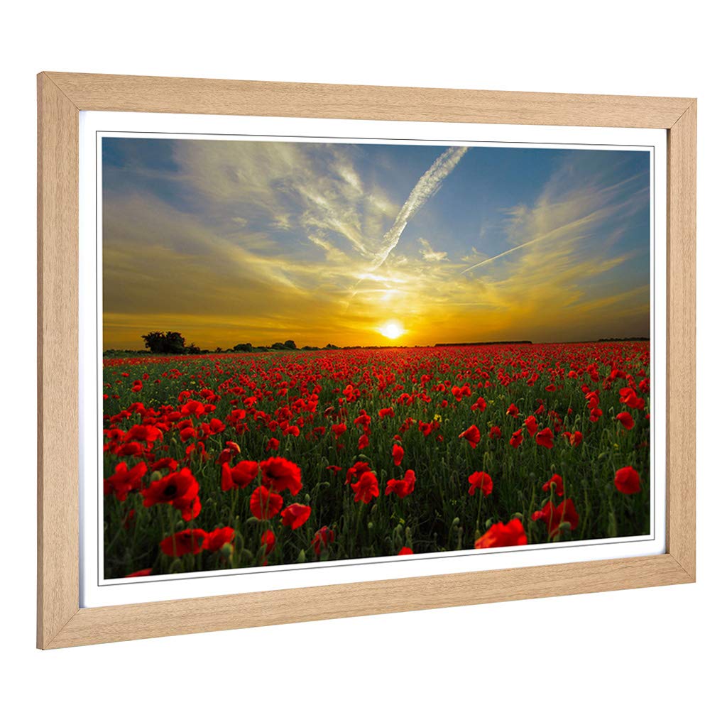 Big Box Art Framed Print of Landscape Red Poppy Meadow Sunset Design | Wall Art Picture | Home Decor for Kitchen, Living Room, Bedroom, Hallway, Oak, A2 / 24.5x18 Inch / 62x45cm