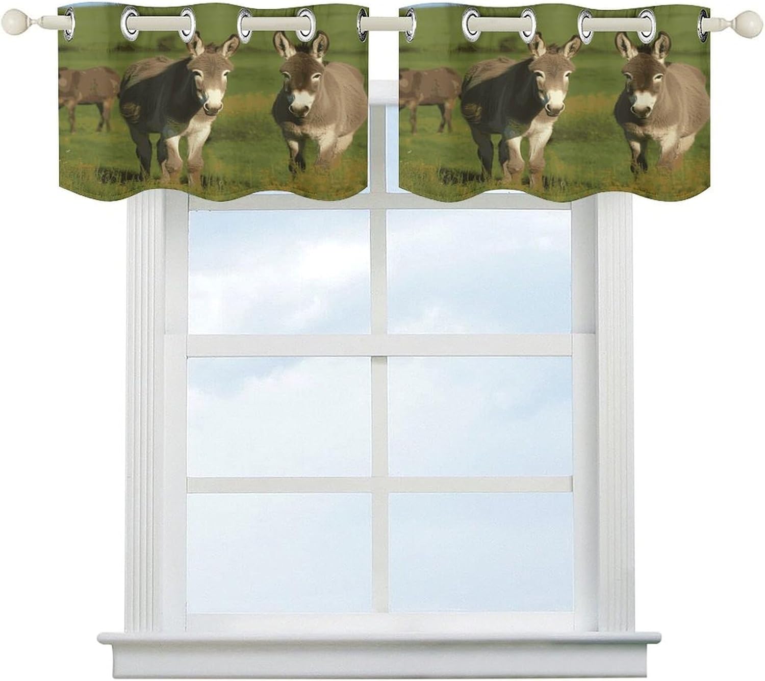 Donkey on Green Meadow Curtain 2 Panels, Polyester Fiber, Blackout Insulated Window Curtain, Curtain Valance for Kitchen Dining Room Living Room Cafe Small Window 52 * 18.1 Inches