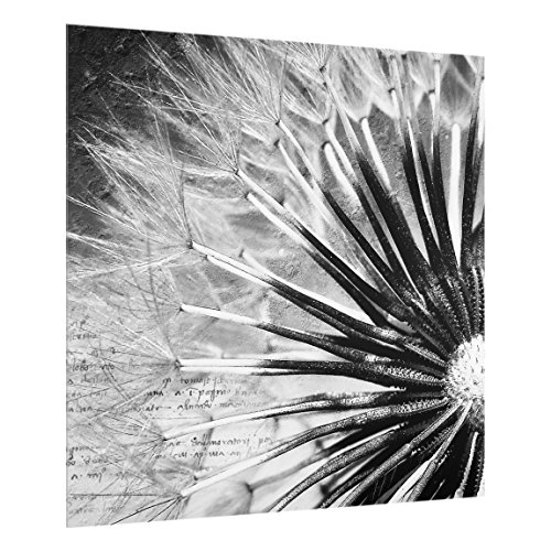 Spritzschutz Glas - Pusteblume Schwarz & Weiß - Quadrat 1:1 59cm x 60cm