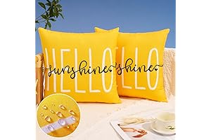 DFXSZ Hello Sunshine Outdoor Pillow Covers