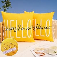 DFXSZ Hello Sunshine Yellow Outdoor Pillow Covers 18x18 Set of 2 Waterproof Patio Garden Sofa Decor