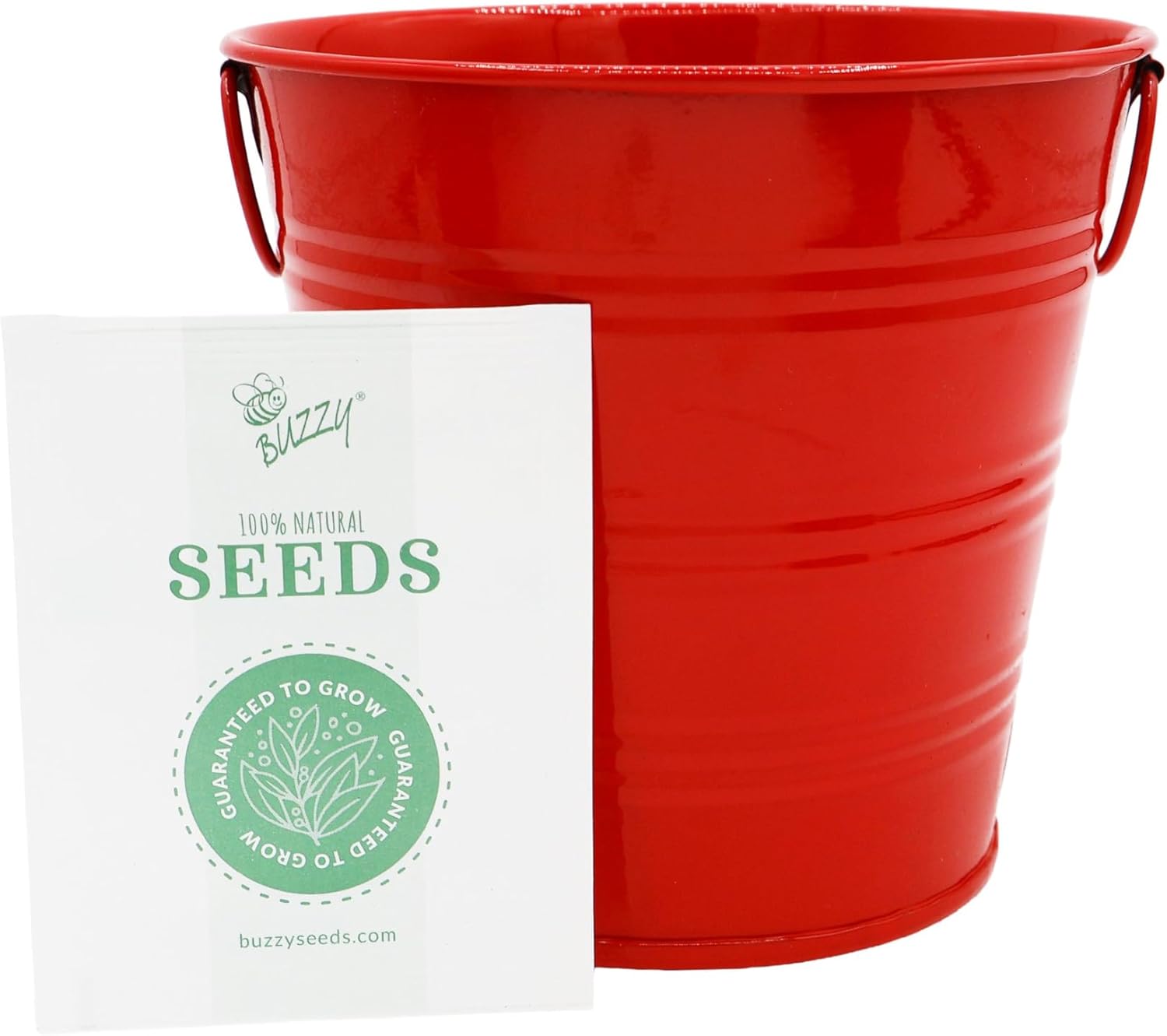 BUZZY Seeds Americana Grow Kit 3-Pack – Red White and Blue Pails with Daisies, Poppies & Forget-Me-Nots – Fun Patriotic Indoor Flower Grow Kit, DIY Gardening Gift Set