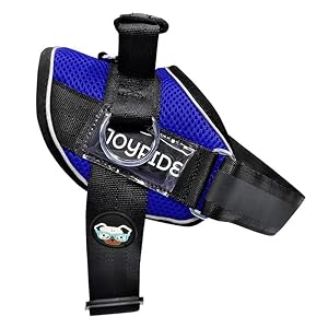 Joyride Harness Summer Mesh Vest – 2.0 No Pull Dog Harness - Adjustable, Breathable Vest - Custom Name Tag Included - Perfect for Small, Medium & Large Dogs Joyride Harness Summer Mesh Vest–20 No Pull Dog Harness Adjustable Breathable Vest Custom Name Tag Included Perfect for Small Medium Large Dogs