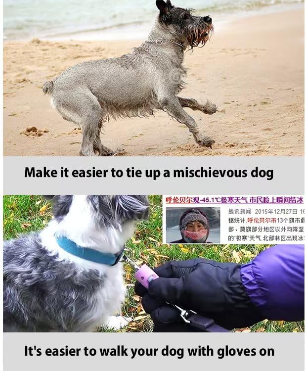 Miniatura 7 de Correa magnética para mascotas