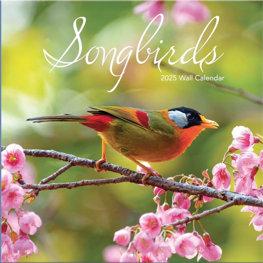 TURNER PHOTOGRAPHIC Songbirds 12x12 Photo Wall Calendar (25998940052) 2025