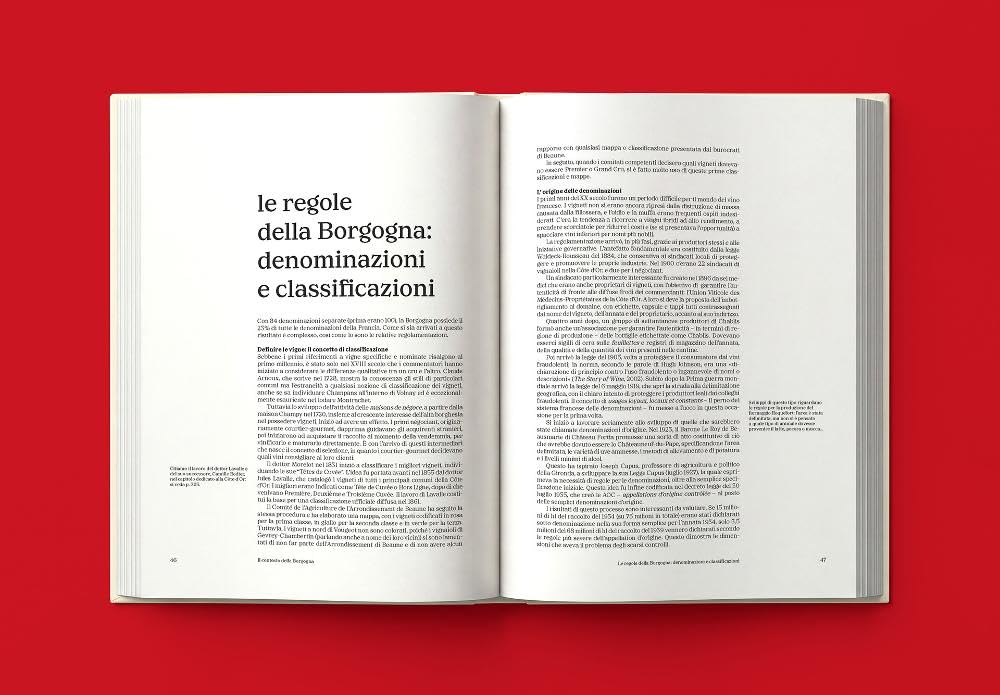 Borgogna. Il libro completo del terroir, dei produttori e dei vini