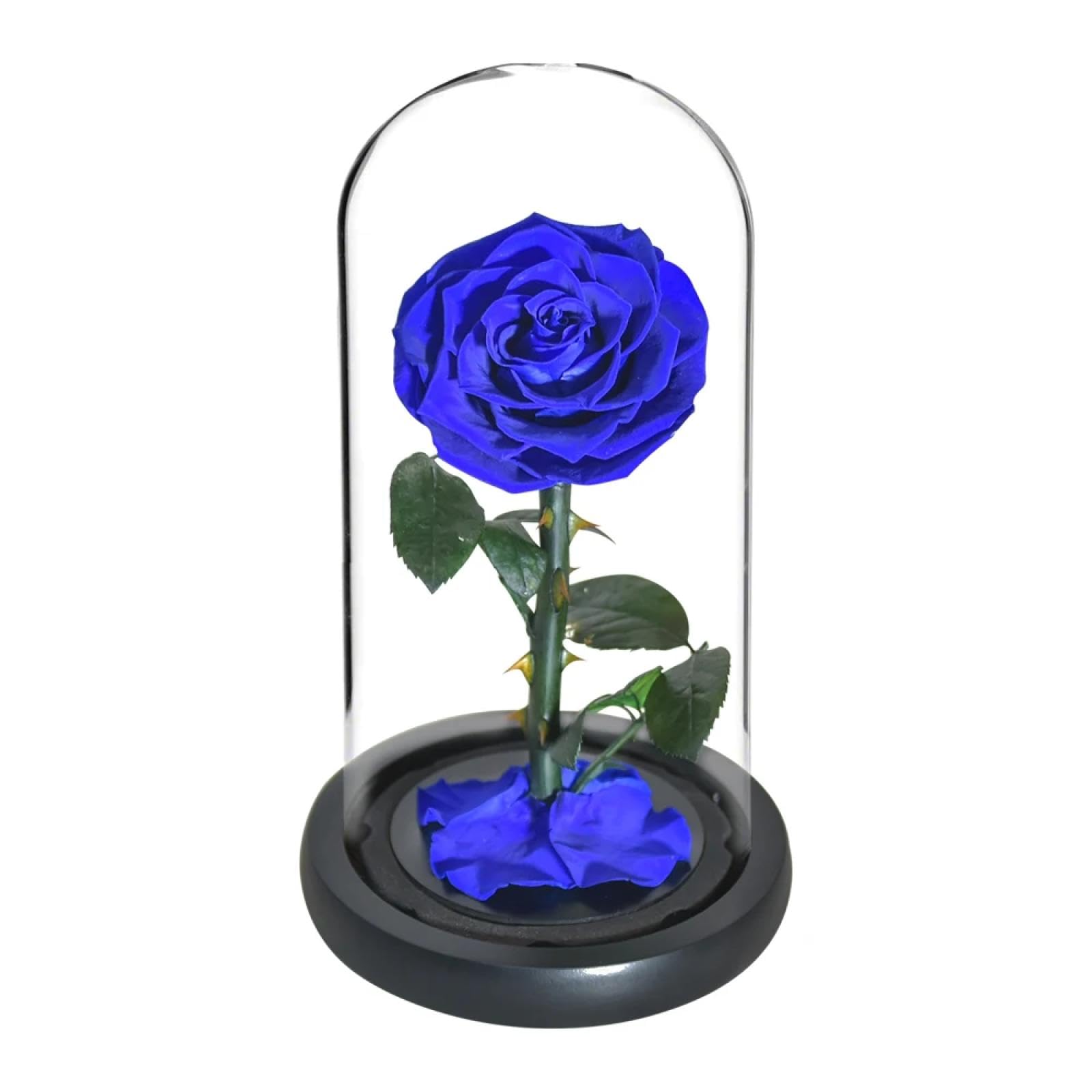 Rosas preservadas eternas DANETI con cúpula de cristal y 5 cabezas de flores, rosa para siempre
