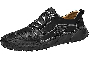 Extendable Walking Dog Toy with Leash