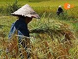  Laos - Im Land der 1000 Elefanten