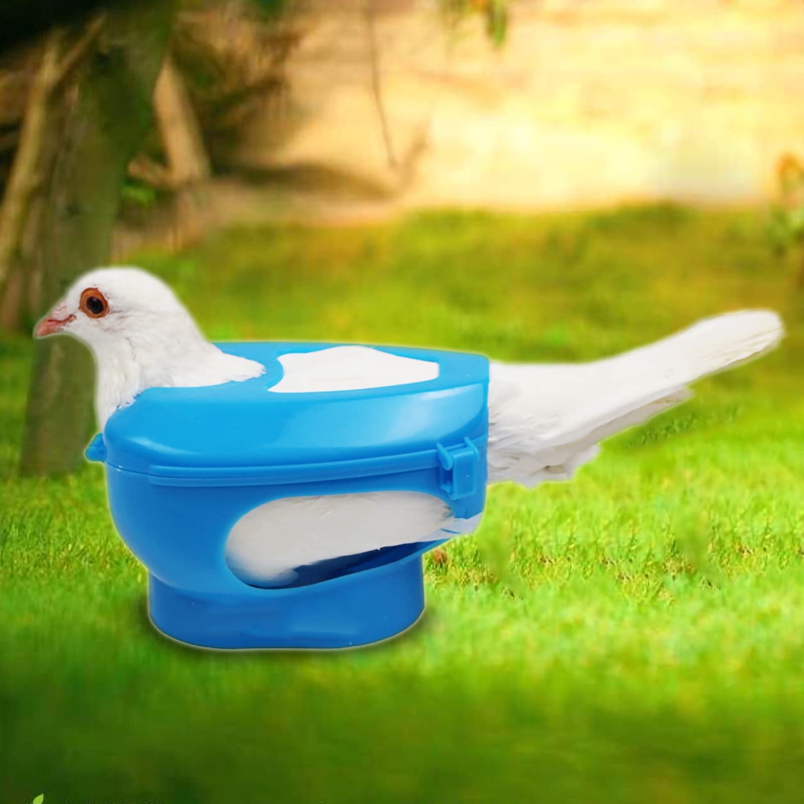 SUNGOOYUE Fixing Frame, Plastic Holder Manual Feeding Accessory 15 X 12 X 8.5cm for Feeding and Injection, Hollow Clip Design for Bird Keepers (Blue)