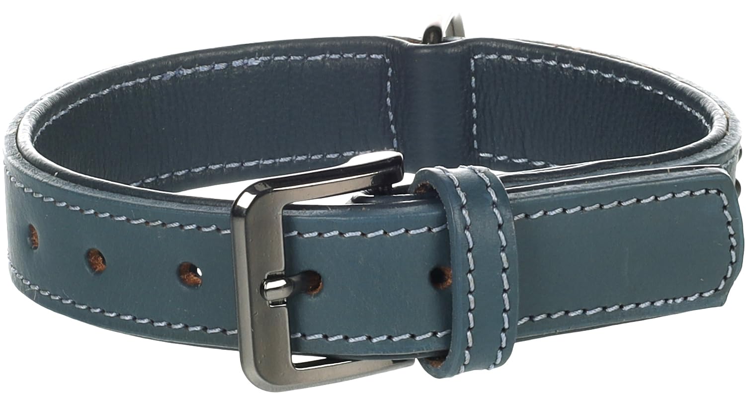 Flamingo Dog Collar with studs Denver Blue M 30-38cm 30mm
