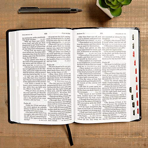 KJV Study Bible Full-Color Plum LeatherTouch Red Letter Red Letter Pure Cambridge Text Study Notes Articles Word Studies Images Illustrations Maps Easy-to-Read Bible MCM Type main image 1