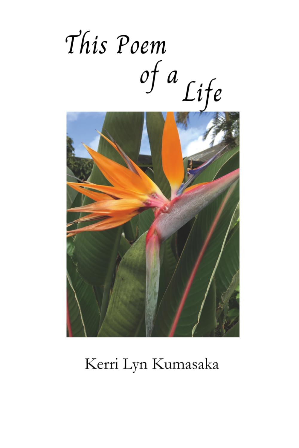This Poem of a Life