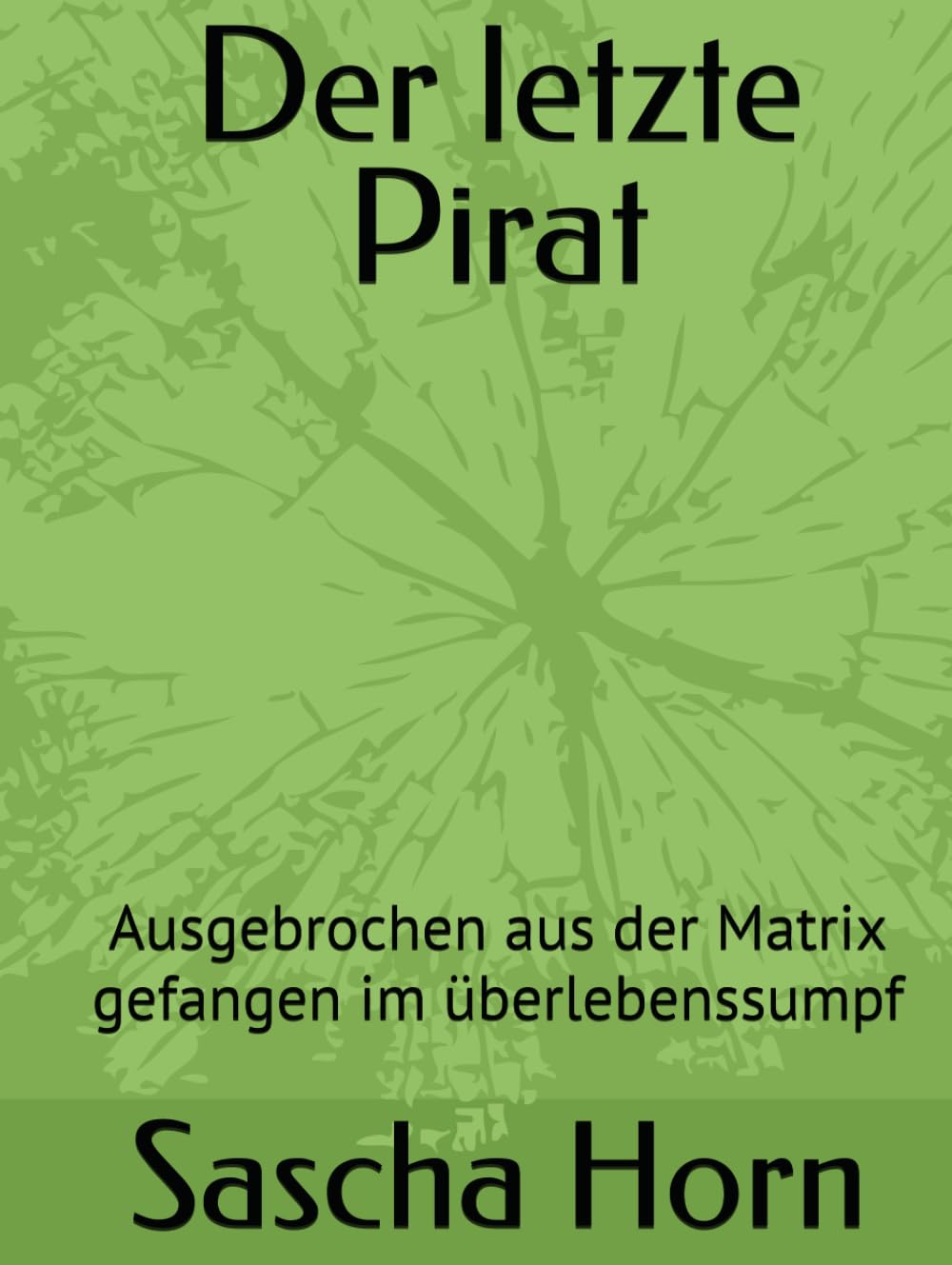 Der letzte Pirat: Ausgebrochen aus der Matrix gefangen im überlebenssumpf
