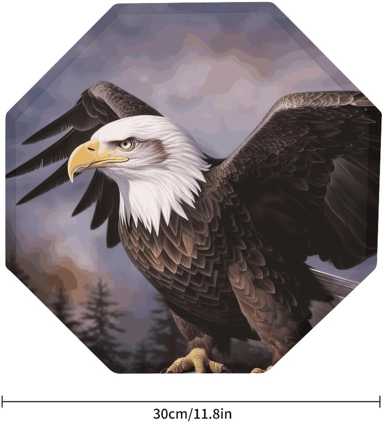Ctagon Metal Sign for Home, Modern Display Plate for Kitchen, Bald Eagle Plates Accent Hanging Wall Decorations 3PCS for Living Room, Bedroom, Hallway, Hotel