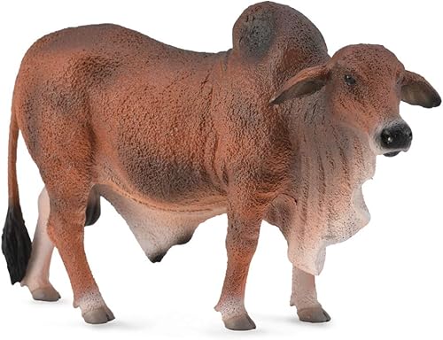 Collecta Toro Brahman rojo, 5.1 pulgadas de largo x 3.3 pulgadas de alto